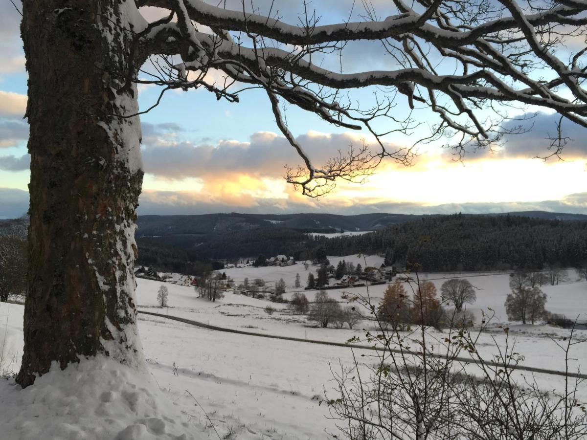 Fuchs Saig Lenzkirch