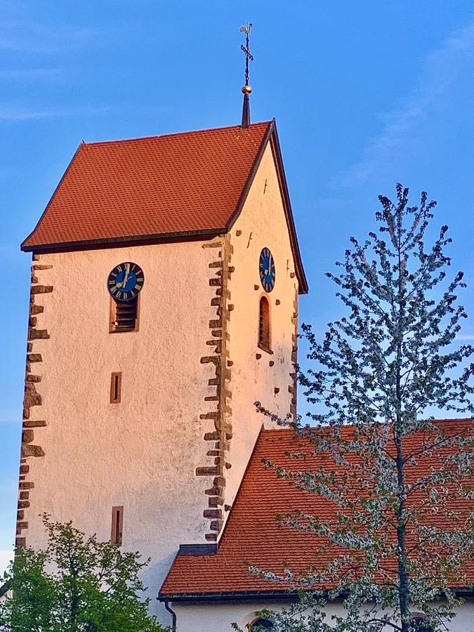 Fuchs Saig Lenzkirch