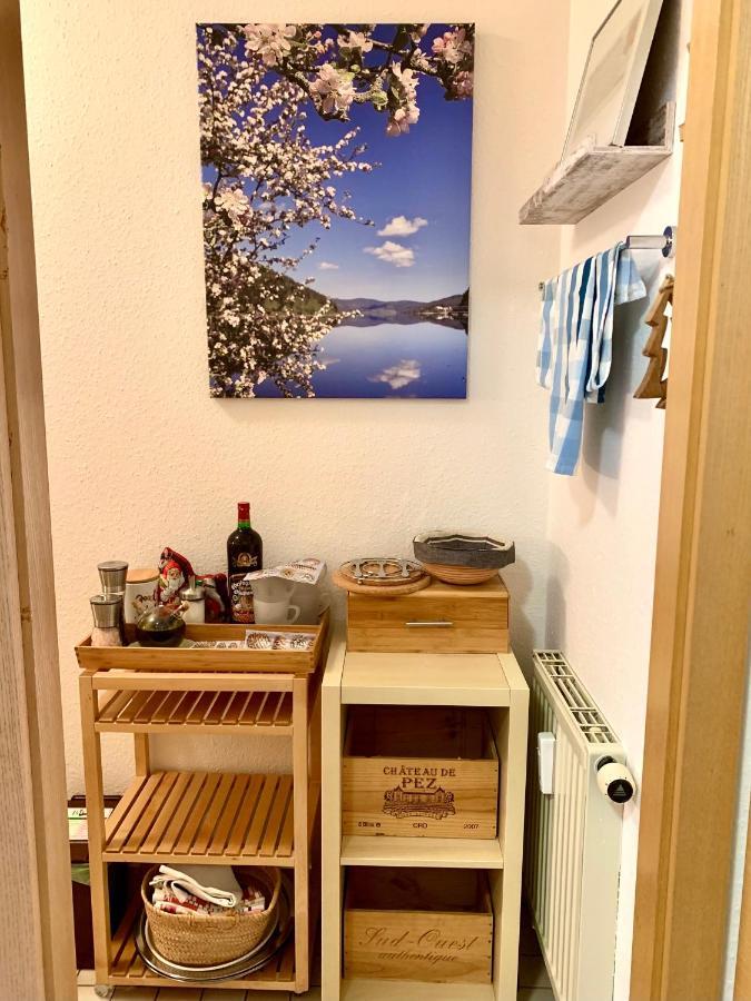 Fuchs Saig Apartment Lenzkirch