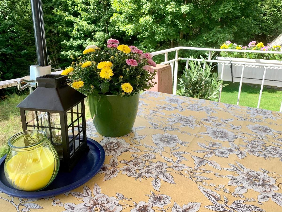Apartment Fuchs&hase Saig - Der Fuchs Lenzkirch