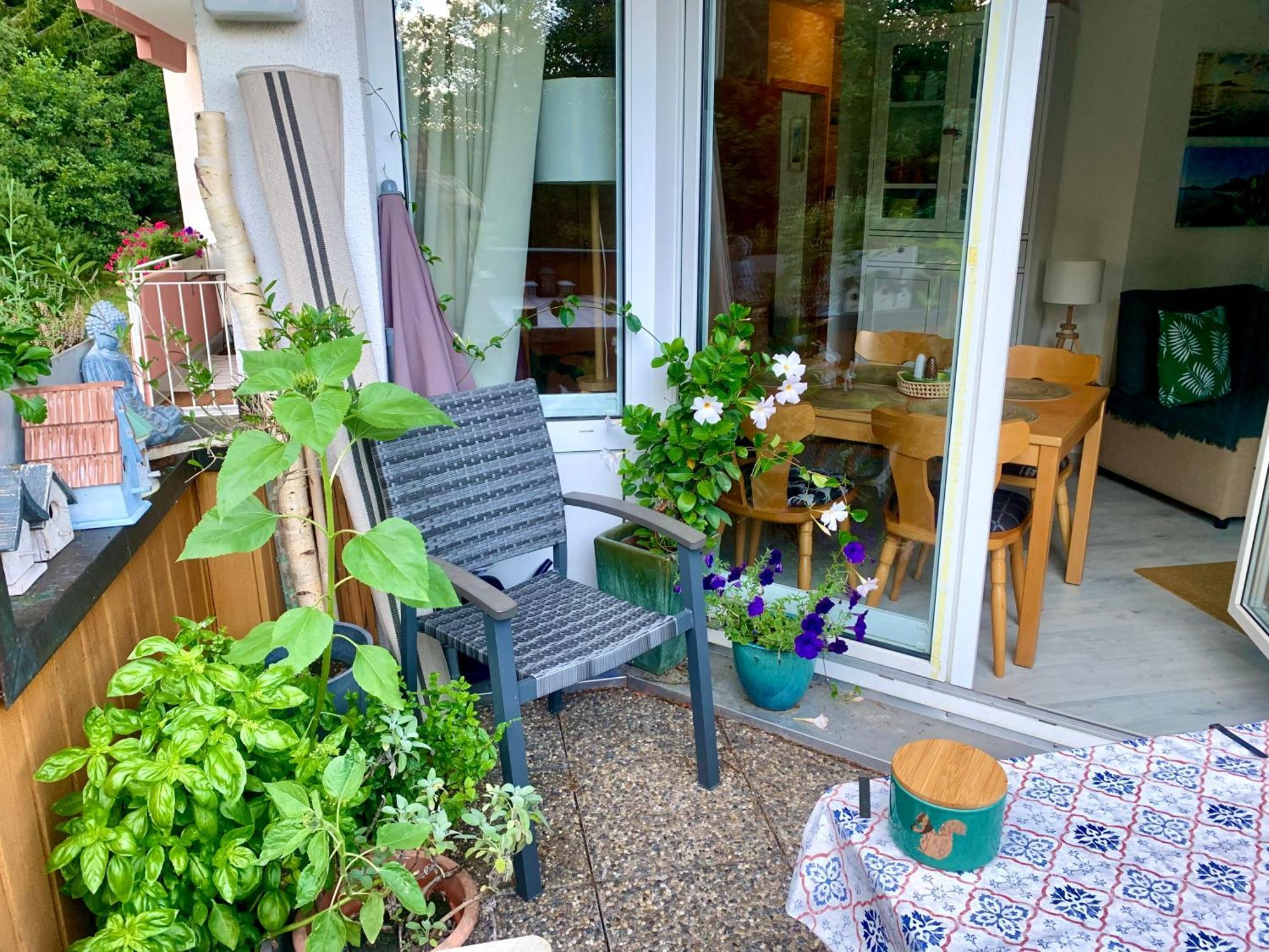 Fuchs Saig Apartment *