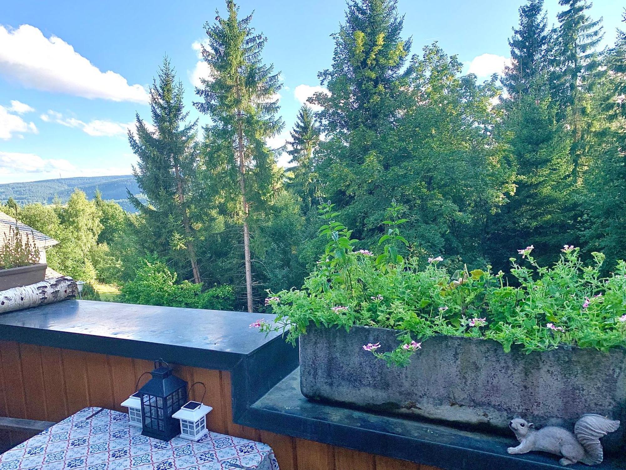 Fuchs Saig * Lenzkirch